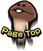 Page Top